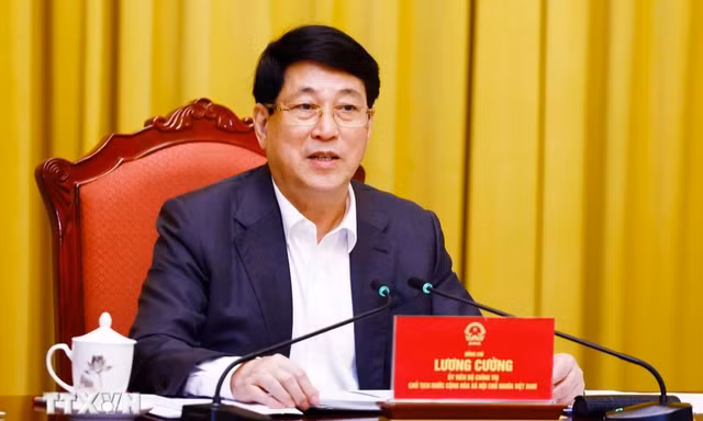 Chủ tịch nước Lương Cường: Hoạt động đối ngoại giúp nâng cao tiềm lực của đất nước