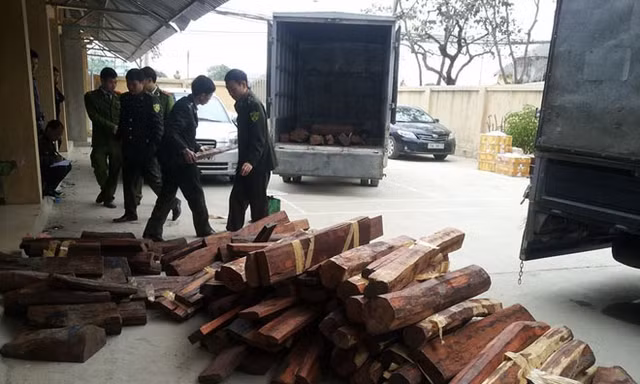Tang vật của vụ việc
