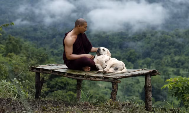 Phim chữa lành có thầy tu '6 múi' 