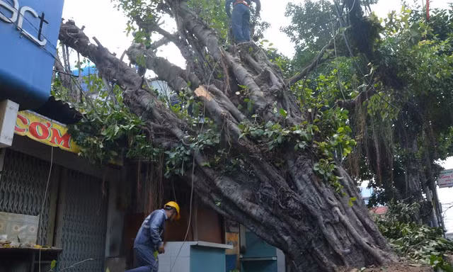 Hiện trường vụ việc