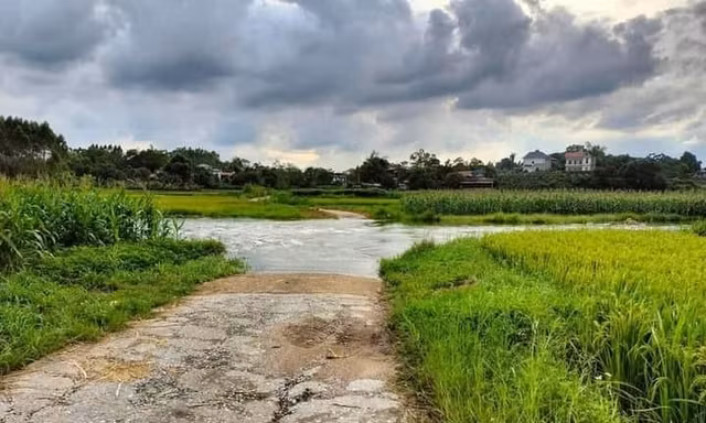 Bản tin 8H: Bé gái bị nước cuốn trôi khi cùng bố đi qua máng tràn