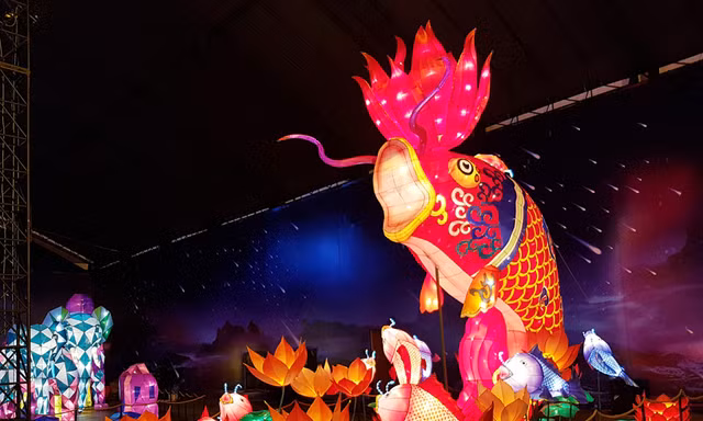 Lồng đèn cá chép khổng lồ ở TP.HCM