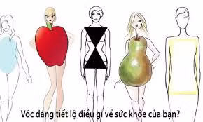 Hình dáng cơ thể bạn tiết lộ nguy cơ sức khỏe như thế nào