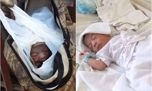 Bé sơ sinh bị mẹ treo ở hàng rào, may mắn được nhân viên gom rác cứu