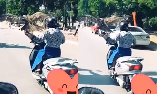 Choáng váng 'Ninja Lead' vừa lái xe, vừa để chim đậu trên tay