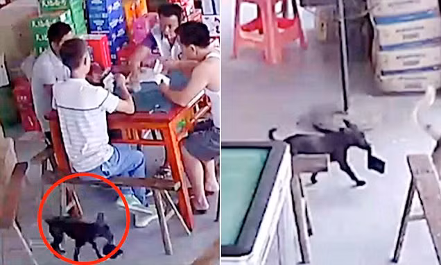Mất ví lúc chơi bài, kiểm tra camera phát hiện thủ phạm không ngờ