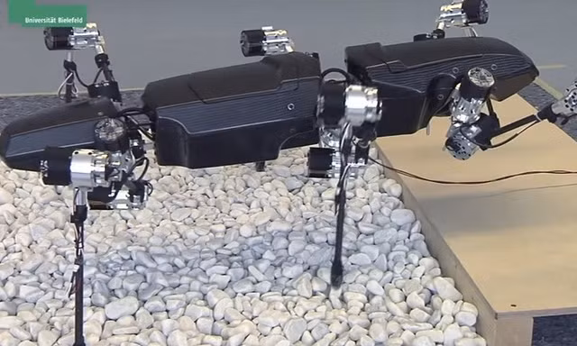 Đại học Mỹ chế tạo robot bắt chước gián