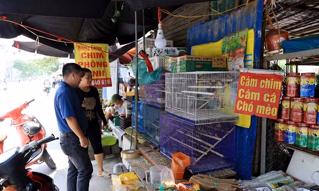 Phố bày bán chim phóng sinh ở Hà Nội nhộn nhịp 'tháng cô hồn'