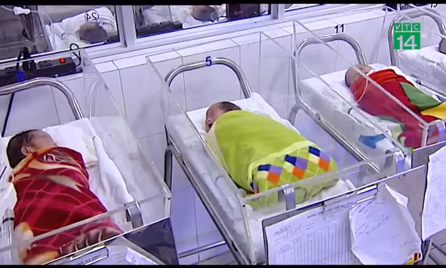 Việt Nam có 5 vạn em bé chào đời bằng thụ tinh ống nghiệm