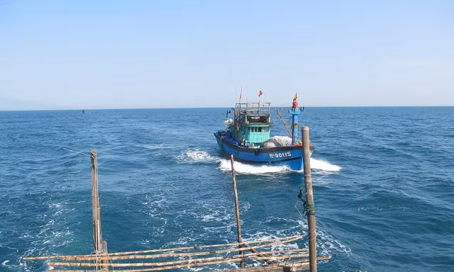 Ngư dân miền Trung đánh bắt từ biển Đông trở về Đà Nẵng (ảnh minh họa)