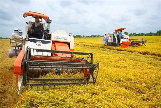Thanh Hóa: Gần 1.000 tỷ đồng tiền nợ xây dựng nông thôn mới