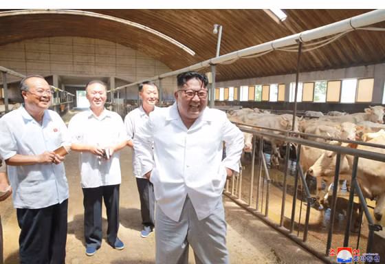 Ông Kim Jong-un giản dị thăm hồ cá, trại gia súc