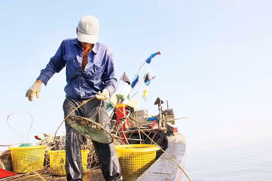 Ngư dân khoe "chiến tích" đầy ốc