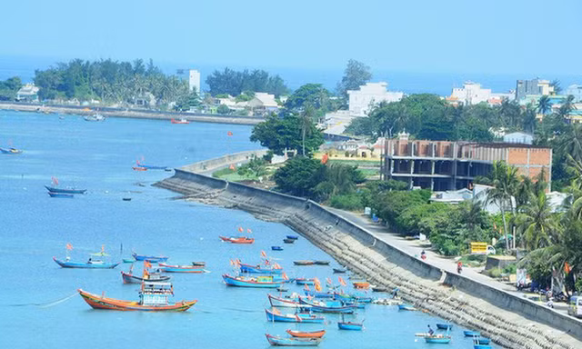 Một xã ở huyện đảo Lý Sơn có 5 cán bộ sử dụng bằng có nghi vấn