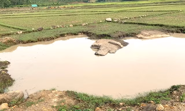 Bàng hoàng phát hiện thi thể 2 em nhỏ nổi trên hồ nước ở Gia Lai