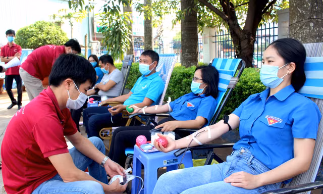 Ấm áp hình ảnh tuổi trẻ Gia Lai trên mọi mặt trận vì cộng đồng