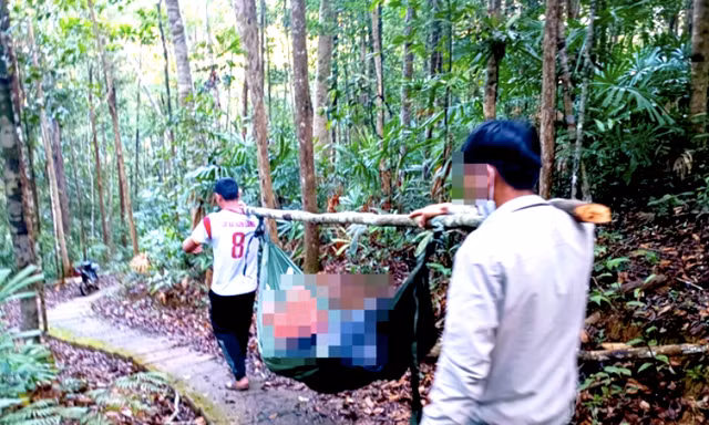 Vào thác tham quan, nữ du khách bị cây đổ đè tử vong