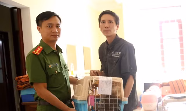 Bàn giao nhiều cá thể tê tê, hổ mang chúa cho VQG Cúc Phương