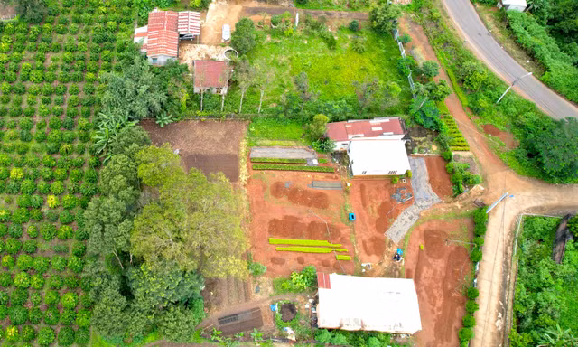 Buộc cựu trưởng ban quản lý rừng phòng hộ giao trả hơn 16.000m2 đất rừng lấn chiếm 