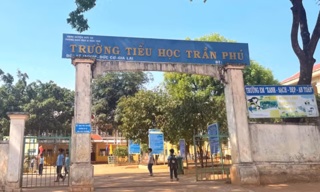 Xử lý hiệu trưởng buộc thôi việc kế toán sai quy định