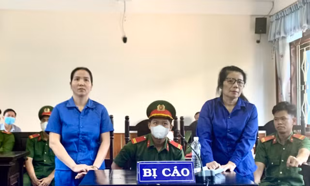 Nữ nông dân ‘bắt tay’ bà nội trợ lừa xin việc, lấy tiền tiêu xài