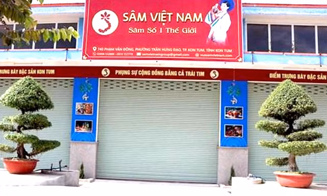 Tin mới vụ công ty tuyên bố có hàng chục ha sâm Ngọc Linh ở Kon Tum 