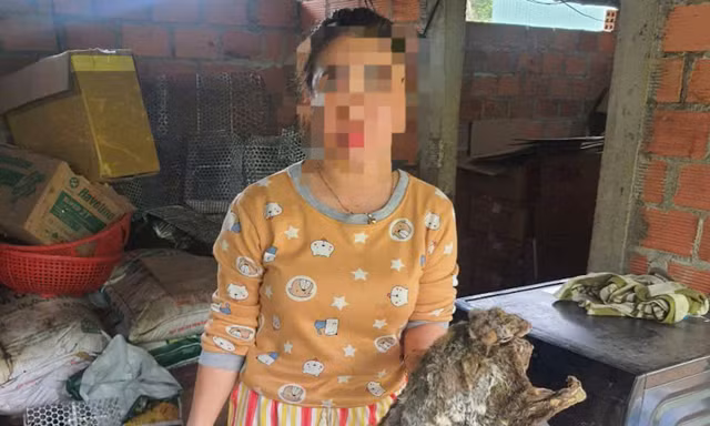 Bị khởi tố vì cất rắn hổ mang chúa, chồn bay trong tủ lạnh