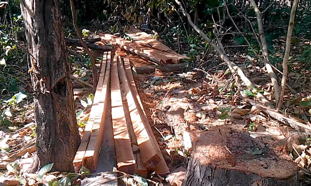 Hiện trường vụ 30 lâm tặc đe doạ lực lượng chức năng 