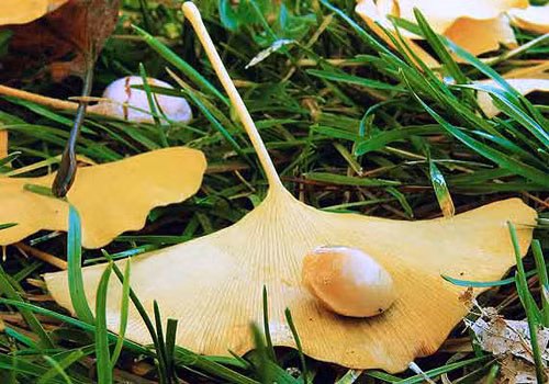 Ảnh minh họa: Internet