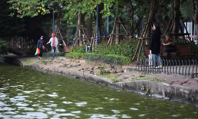 Giáo sư Hoàng Đạo Kính khuyến cáo việc cải tạo phải giữ được đường cong tự nhiên của bờ hồ Gươm Ảnh: Hoàng Mạnh Thắng