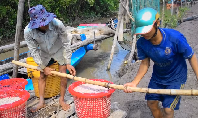 Vận chuyển ruốc lên bờ sau chuyến biển