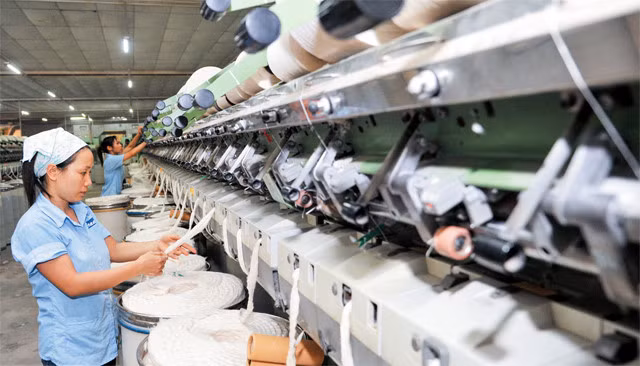 Mỗi tháng có hơn 10.000 doanh nghiệp thành lập mới