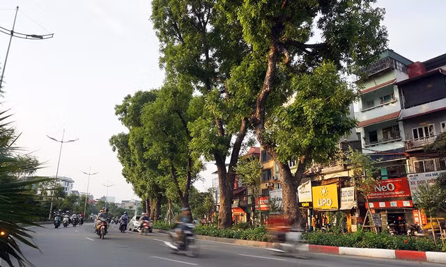 Giữa ngày nắng đổ lửa Hà thành, 'thiên đường' bóng mát là đây