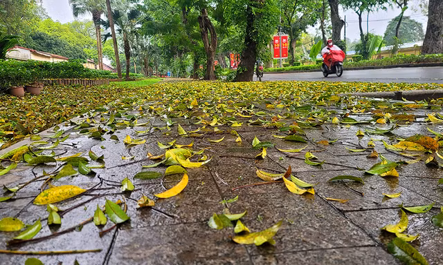 Người dân Thủ đô chật vật đi làm trong mưa rét bất thường
