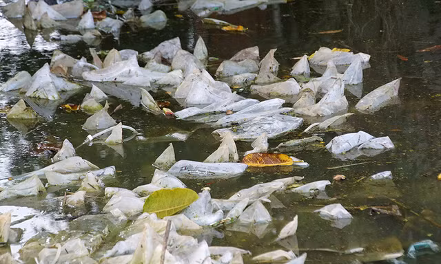 Rác thải nguy hại bủa vây vùng ngập trũng ở Chương Mỹ