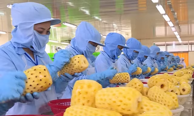 Theo dự báo, các loại trái cây chế biến là một trong những sản phẩm mà Trung Quốc có nhu cầu nhập nhiều thời gian tới. 