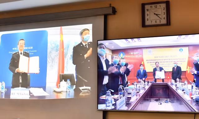 Việt Nam ký Nghị định thư trực tuyến về xuất khẩu thạch đen với Trung Quốc