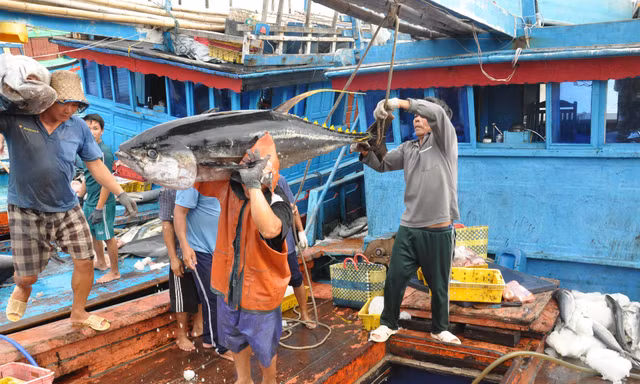 Bộ NN&PTNT đã ban hành Thông tư 13, sửa đổi những điểm chưa phù hợp, bất cập trong Thông tư 21, hiệu lực kể từ ngày 25/12 tới.