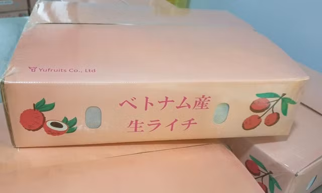 Lô vải thiều đầu tiên của Việt Nam đã xuất khẩu thành công sang thị trường Nhật Bản