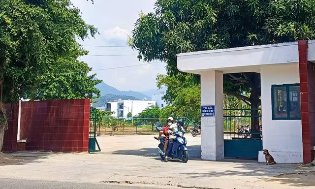 Kỷ luật cảnh cáo Giám đốc Trung tâm Huấn luyện kỹ thuật thể thao Khánh Hòa