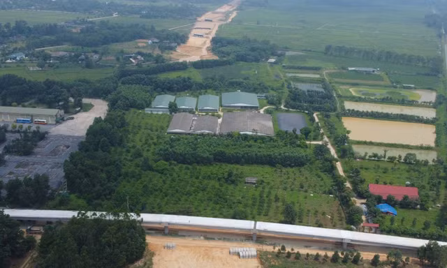 Cao tốc Bắc - Nam tắc nghẽn vì vướng... một trại lợn