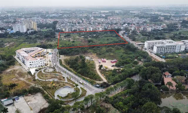 Danh tính DN chi hơn 1.800 tỷ trúng đấu giá khu đất 4,4ha làm nhà ở thấp tầng