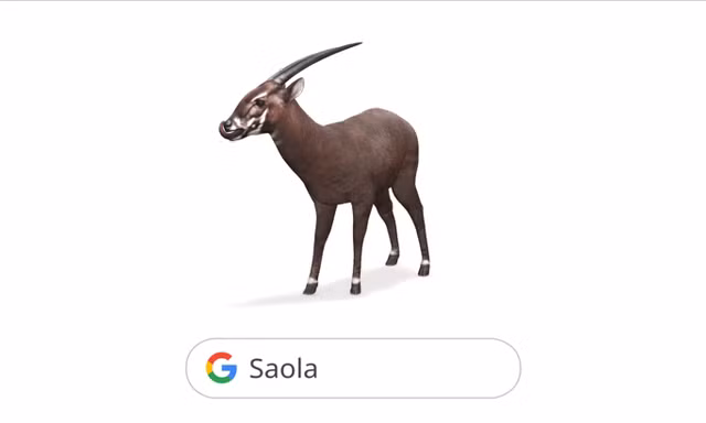 Sao La - động vật quý hiếm bậc nhất của Việt Nam được số hóa trên Google Tìm Kiếm