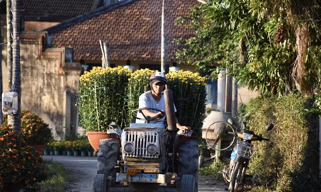 Ảnh: Nguyễn Ngọc