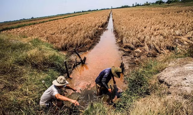 Việt Nam – Hà Lan hợp tác để thích ứng với biến đổi khí hậu