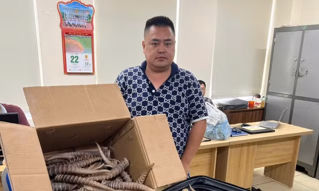 Buôn bán sừng linh dương, hai người bị phạt hơn 4 năm tù