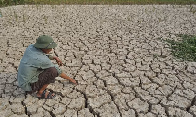 El Nino sẽ tác động thời tiết nước ta như nào?