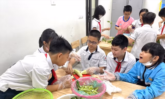 Trường học dạy kỹ năng quản lý tài chính, hướng nghiệp cho học sinh từ tiểu học 