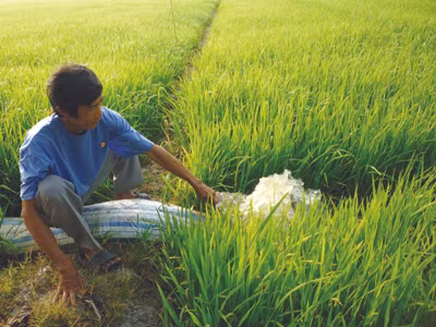 Nông dân Mỹ Quới bơm nước ngày nước nhiễm mặn