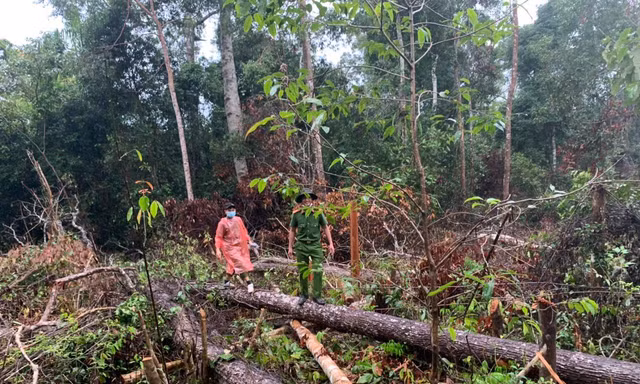 Cơ quan công an tổ chức khám nghiệm hiện trường